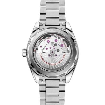 Seamaster Aqua Terra 41 mm