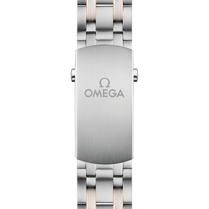 Seamaster Automatic Dial 210.20.42