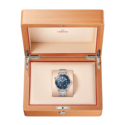 Seamaster Automatic Dial 210.20.42