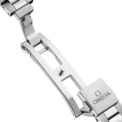 Seamaster Aqua Terra 41 mm
