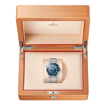Seamaster Diver 300M 42 mm