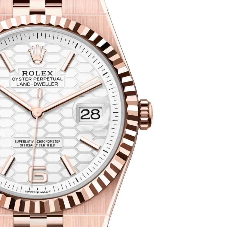 Land-Dweller 40mm Oyster Everose gold M127335-0001