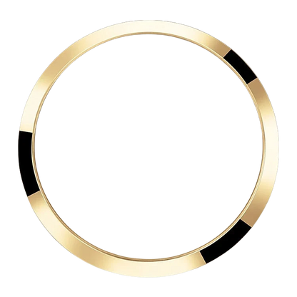 Explorer 36mm 18k Yellow Gold and Stainless steel (2024) 124273-0001
